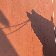 잊힌 길 위에 발자국 썸네일