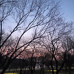 나누기 위한 삶(Living for giving) 썸네일