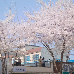 그저 적당한 봄날이길 썸네일