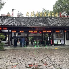 안나가 사랑하는 도시, 항저우 이야기 11편 썸네일