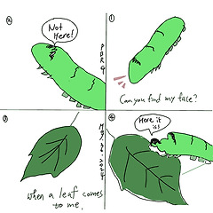 애벌레 얼굴 찾기  썸네일