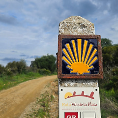 거북이처럼 걷는 날 썸네일