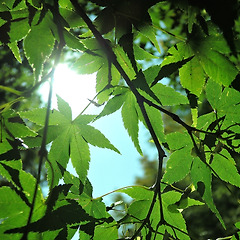 억울한 여름 썸네일