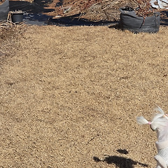 심연, 움직이는 마음 썸네일