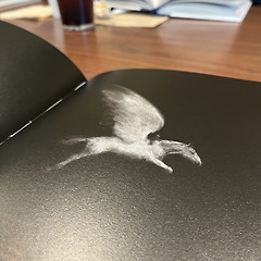 소년과 두더지와 여우와 말 썸네일