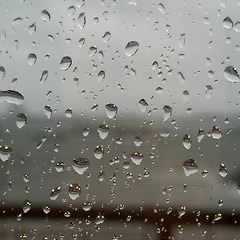 비가 축복이 되기 까지... 썸네일