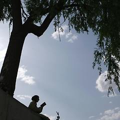 인생을 책에서 배울 수는 없더라도  썸네일