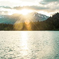 이기심으로 밝게 썸네일