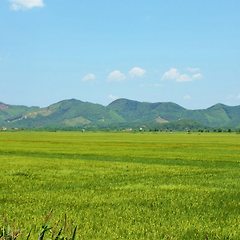 기억해야 넓어진다 썸네일