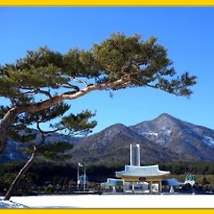 염낭거미 썸네일