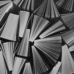 글쓰기엔 허탈함이 없다 썸네일