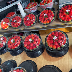 층간소음보다 시끄러웠던 건 내 마음이었다 썸네일