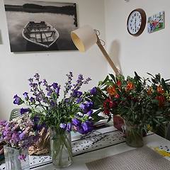 이스라엘-성소수자의 천국 썸네일