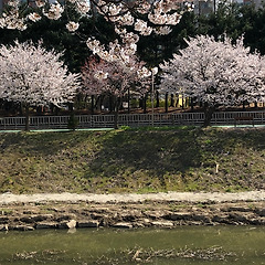 화진에게 썸네일