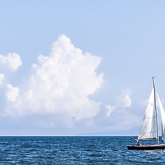 고단한 존엄 썸네일