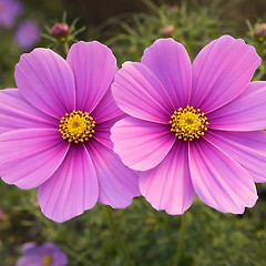 제1화: 사랑은 교향곡처럼 썸네일