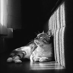 멈추라고 말하는 세계 썸네일