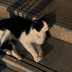 그래 봄이 곧 온다  썸네일