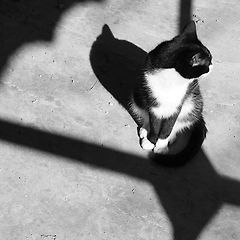 그 아이는 별로 주목을 끌지 않았다 썸네일