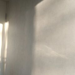 속도의 순수한 모방 썸네일