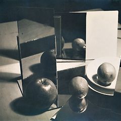 소유의 궤도  썸네일