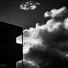 언어의 낙하 썸네일