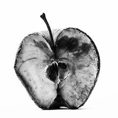 아담의 후손이라면 썸네일