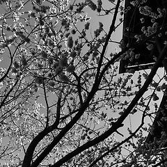 밤의 뒷면에 닿기 전까지 썸네일