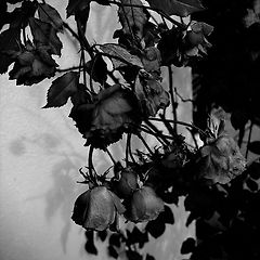 자기계발이라는 종교 썸네일