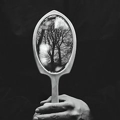 가장자리의 금빛 썸네일