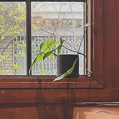 사람의 눈 썸네일