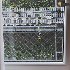 5부 고요 <하루의 배열> 썸네일