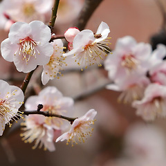 봄에 해야 하는 집안일 썸네일