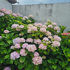 좋은 게 로컬이지 썸네일