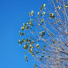 잘 할 수 있는 방법을 알려줘도 본인이 내키지 않으면 썸네일