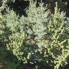 그대로 좋다 썸네일