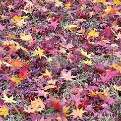 18주 차, 이어가고 싶은 관계, 놓아주고 싶은 관계 썸네일