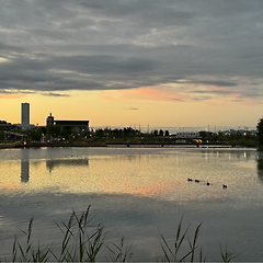 외로움과 친해지기 썸네일