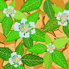 들꽃처럼, 제 자리에서 썸네일