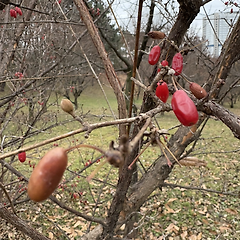 나는 지금 어디쯤 와 있을까 썸네일