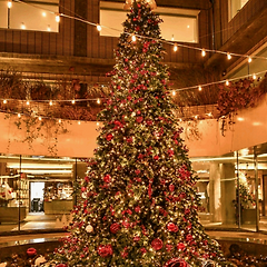 크리스마스의 악몽 썸네일