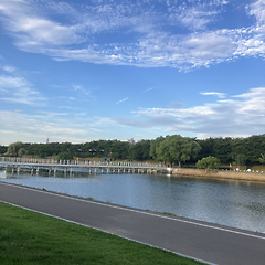 지방을 떠나기로 했다 썸네일