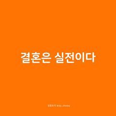 결혼은 실전이다. 썸네일
