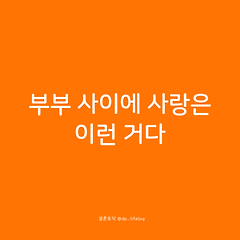 부부 사이에 사랑은 이런 거다. 썸네일