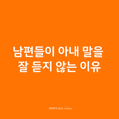 남편들이 아내 말을 잘 듣지 않는 이유 썸네일