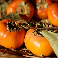 제때는 누가 알려주는 걸까 썸네일