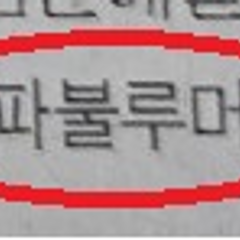 '파불루머'라니 썸네일