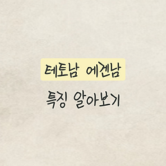 테토남 에겐남 특징 썸네일