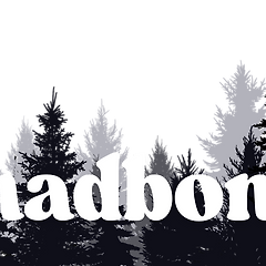 [과학story] 4차원의 세상, 경험하는 방법 썸네일