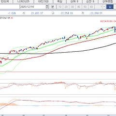 포트폴리오 2025년 12월 2주 썸네일